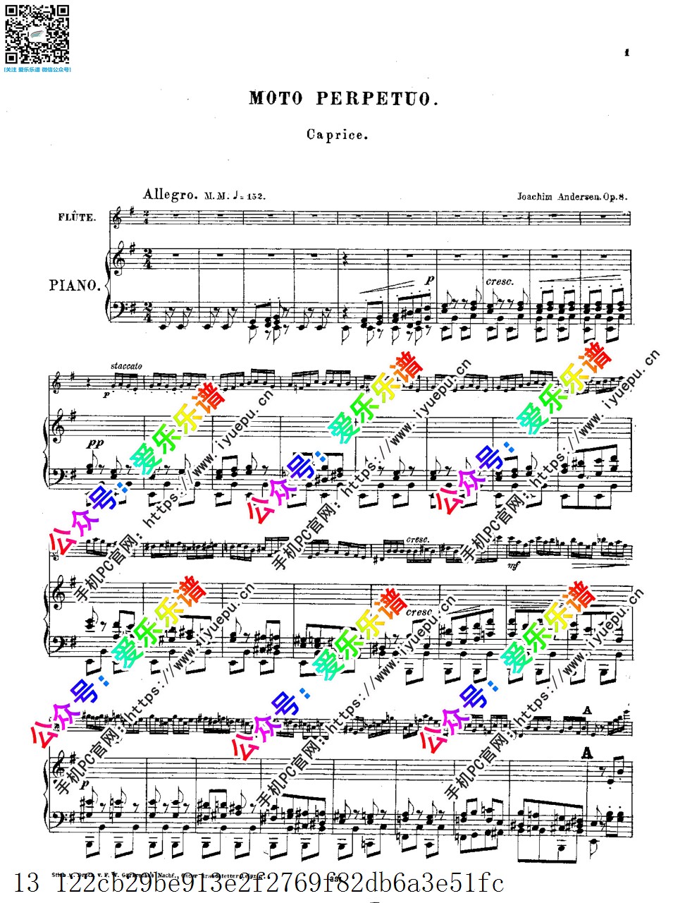 Andersen, Joachim 安德森 Moto Perpetuo Op.8 无穷动 长笛谱与钢琴伴奏谱 原版 乐谱曲谱总谱分谱伴奏音乐在线预览试听下载