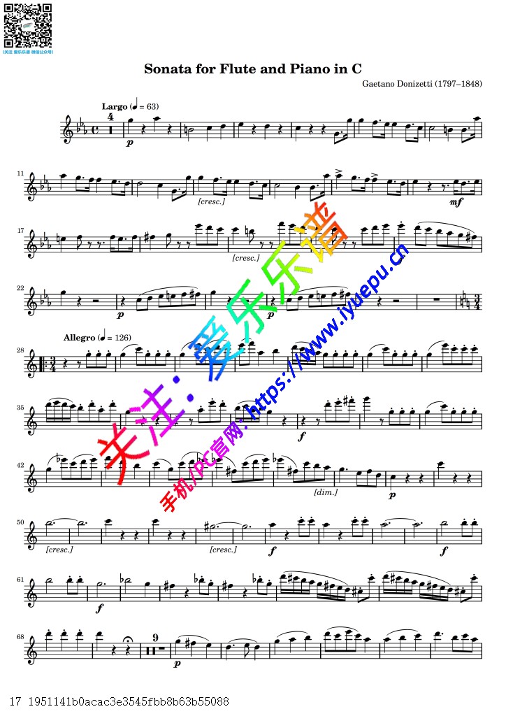 Donizetti 多尼采蒂C小调长笛奏鸣曲 长笛谱与钢琴伴奏谱V1 乐谱曲谱总谱分谱伴奏音乐在线预览试听下载