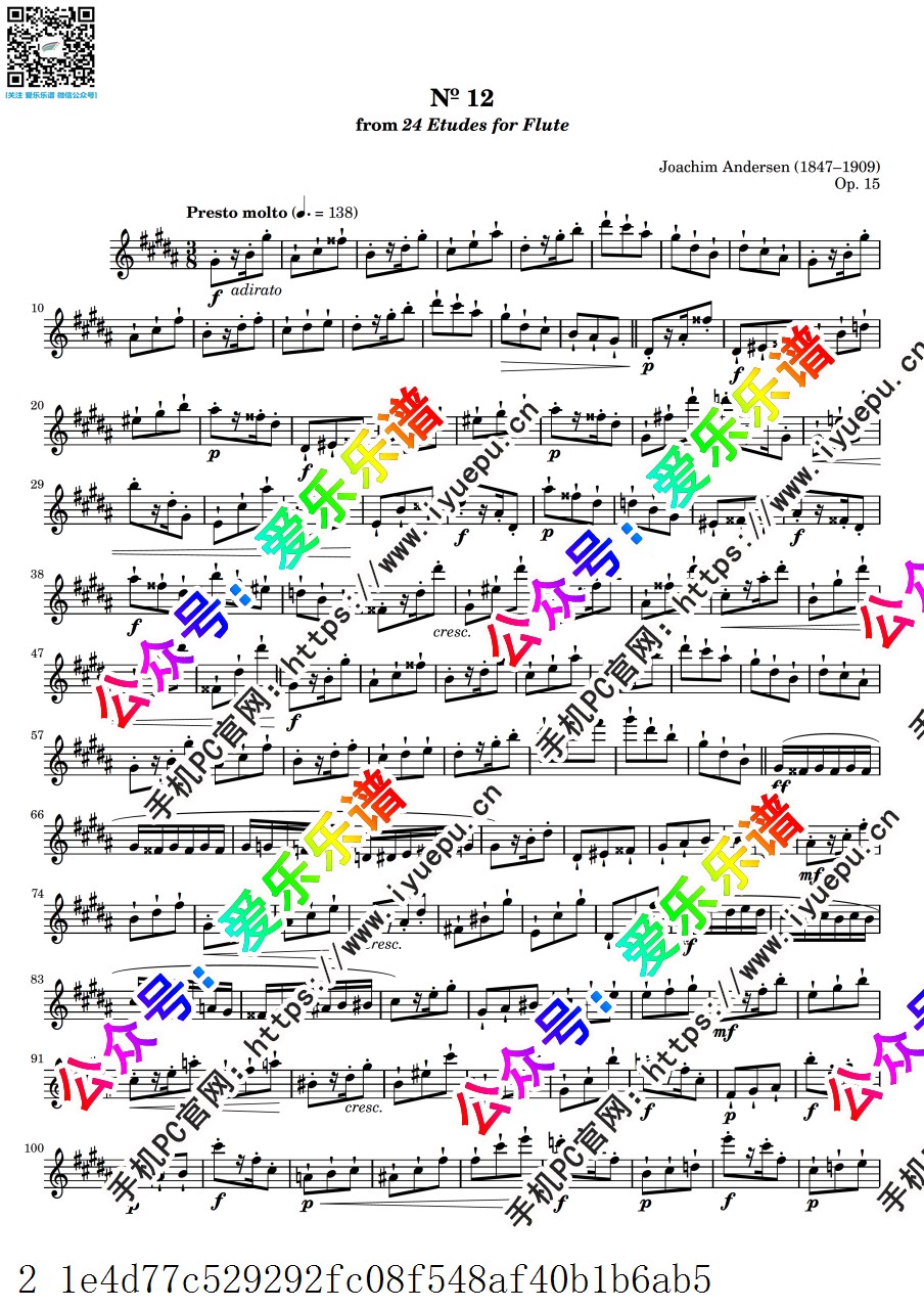 Andersen Joachim安德森 24 Etudes for Flute Op.15 No.12 24首长笛练习曲 长笛谱 乐谱曲谱总谱分谱伴奏音乐在线预览试听下载