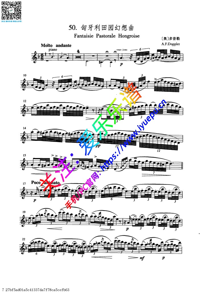 多普勒 匈牙利田园幻想曲 长笛谱 乐谱曲谱总谱分谱伴奏音乐在线预览试听下载