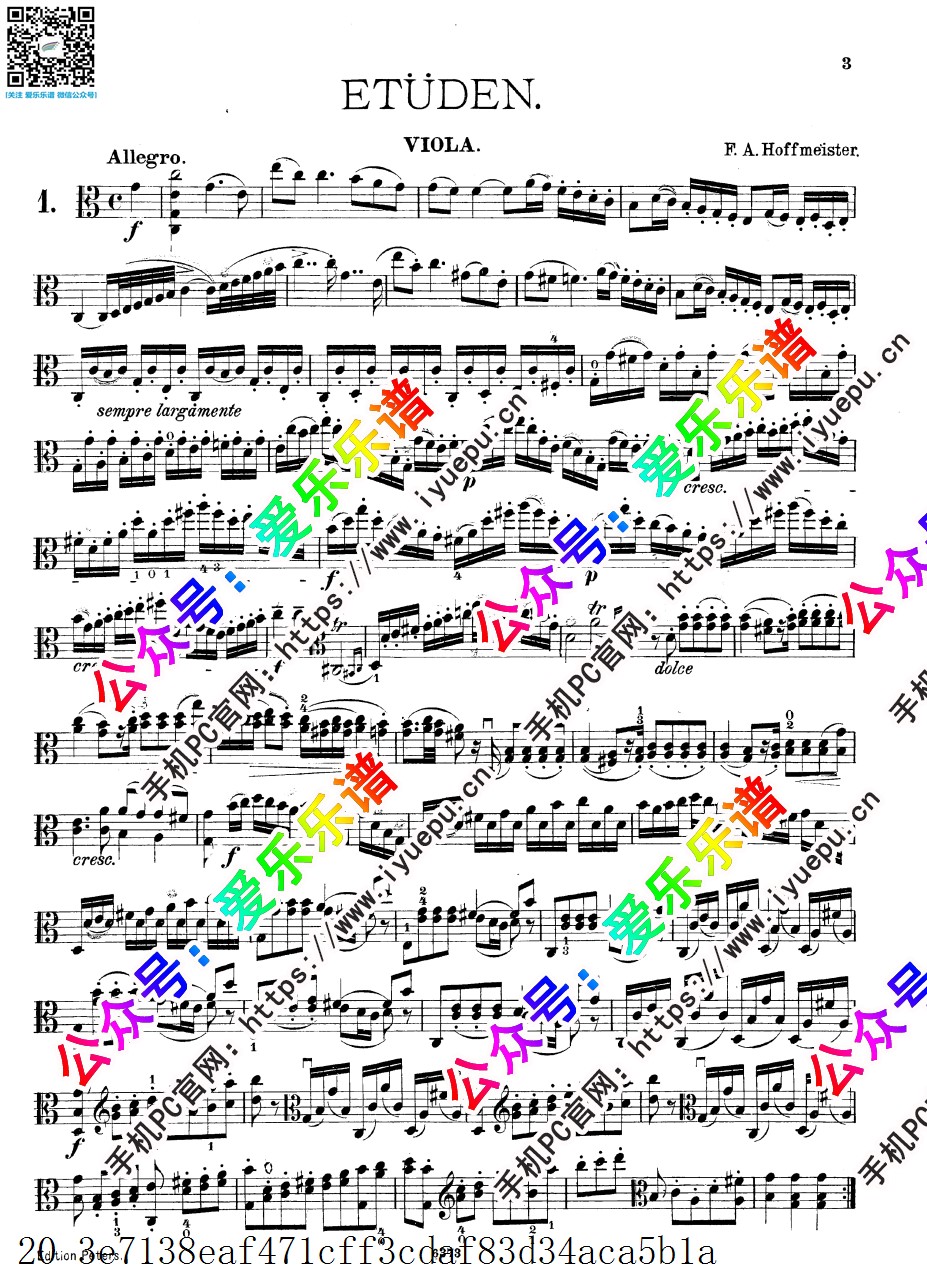 Hoffmeister 霍夫曼斯特 12 Etudes for Viola 十二首中提琴练习曲 中提琴谱 Peters版 乐谱曲谱总谱分谱伴奏音乐在线预览试听下载