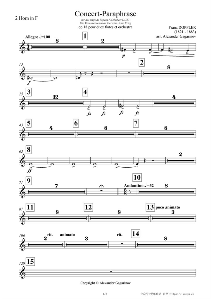 Horn2多普勒 Concert paraphrase OP18 交响乐管弦乐团队谱 圆号2分谱 乐谱曲谱总谱分谱伴奏音乐在线预览试听下载