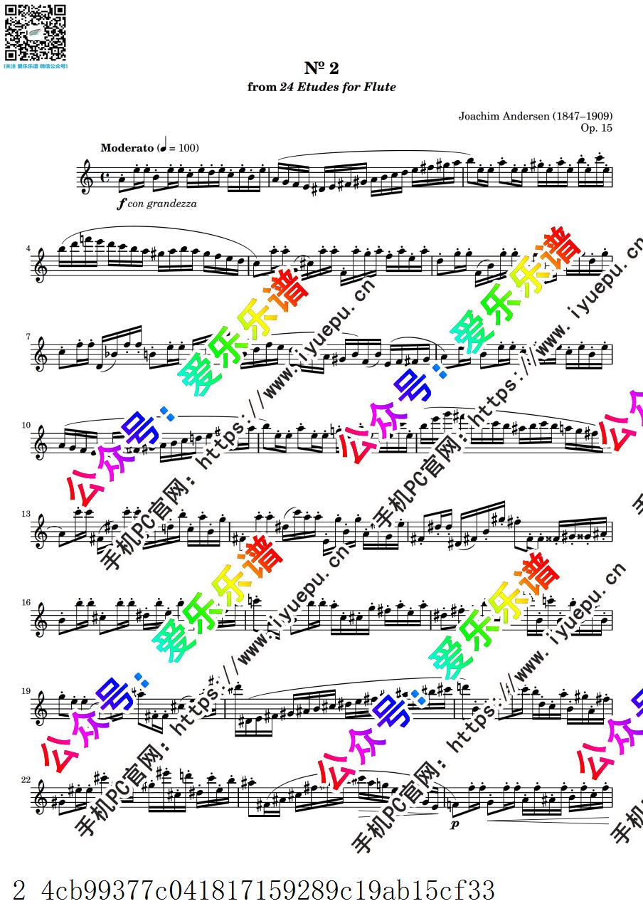 Andersen Joachim安德森 24 Etudes for Flute Op.15 No.2 24首长笛练习曲 长笛谱 乐谱曲谱总谱分谱伴奏音乐在线预览试听下载