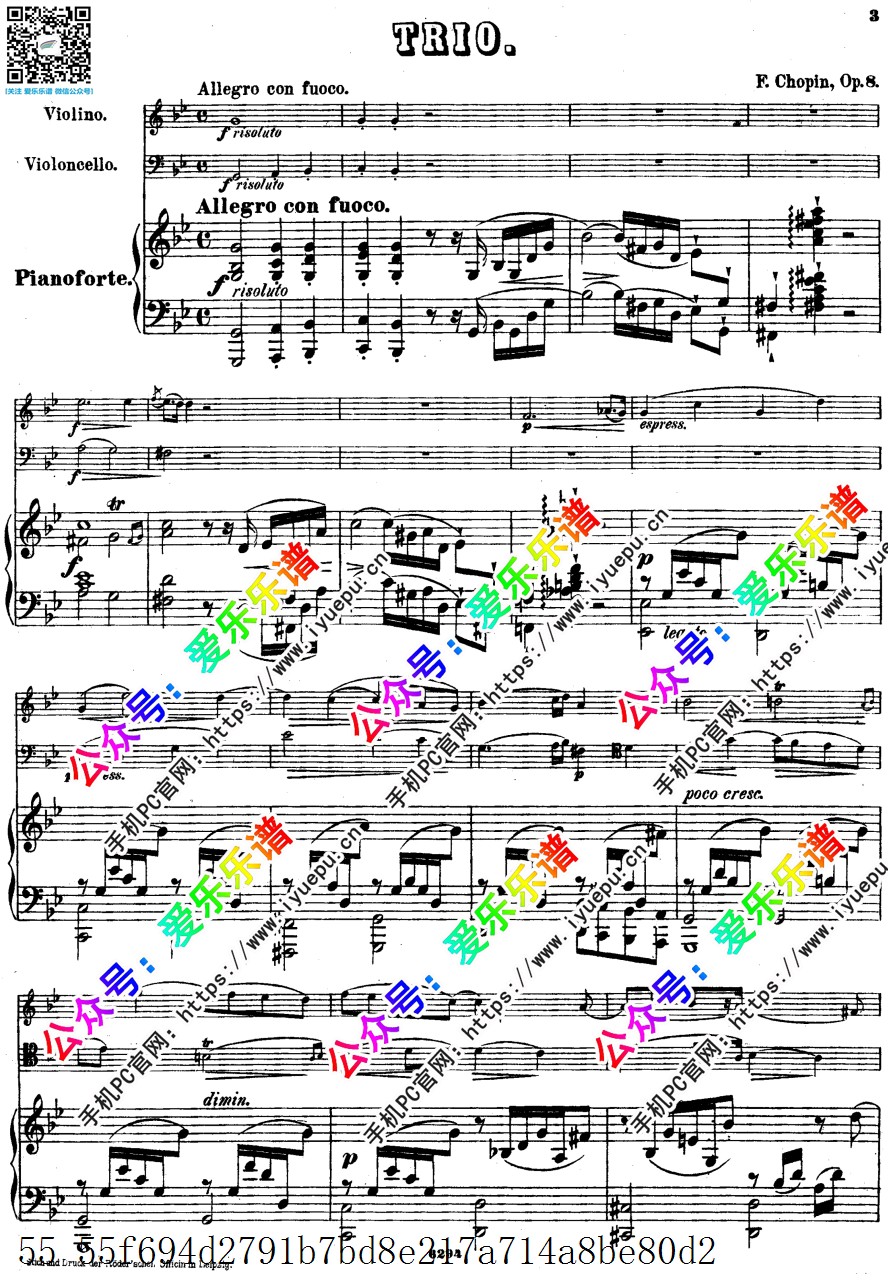 Chopin肖邦 Piano Trio Op.8 g小调 小提琴大提琴钢琴三重奏 总谱分谱 Peters原版 乐谱曲谱总谱分谱伴奏音乐在线预览试听下载