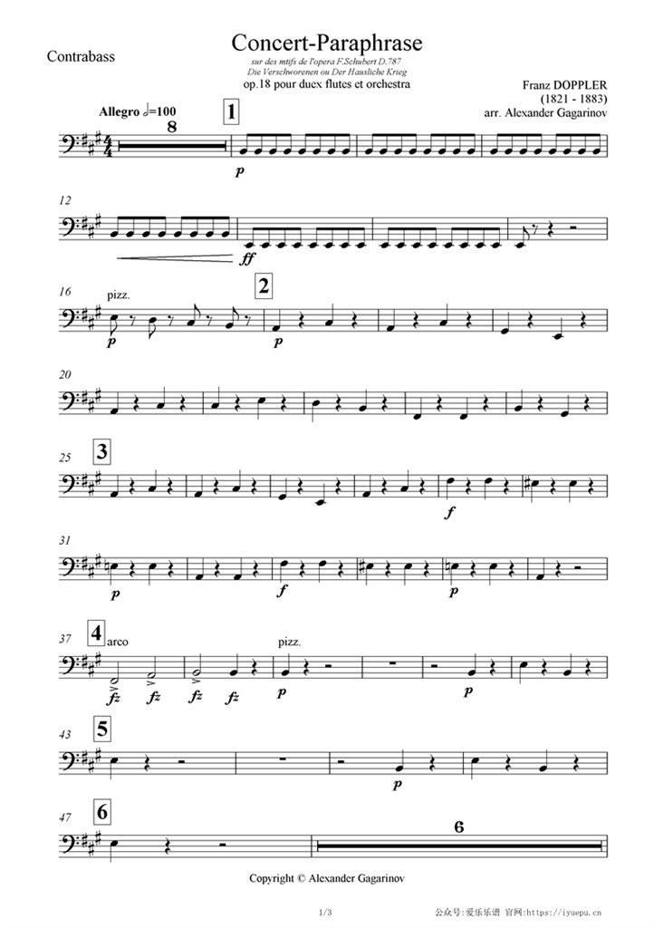 Bass多普勒 Concert paraphraseOp18 交响乐管弦乐团队谱 低音提琴分谱 乐谱曲谱总谱分谱伴奏音乐在线预览试听下载