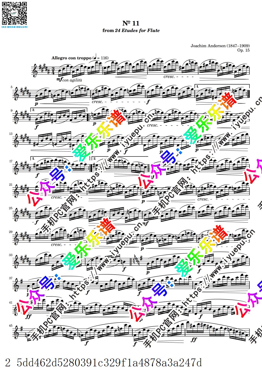 Andersen Joachim安德森 24 Etudes for Flute Op.15 No.11 24首长笛练习曲 长笛谱 乐谱曲谱总谱分谱伴奏音乐在线预览试听下载