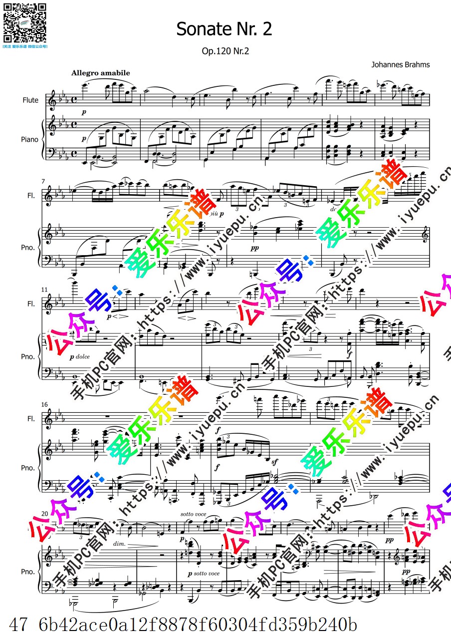 Brahms, Johannes勃拉姆斯 Clarinet Sonata No.2, Op.120 No.2 第二单簧管奏鸣曲 长笛谱与钢琴伴奏谱 乐谱曲谱总谱分谱伴奏音乐在线预览试听下载
