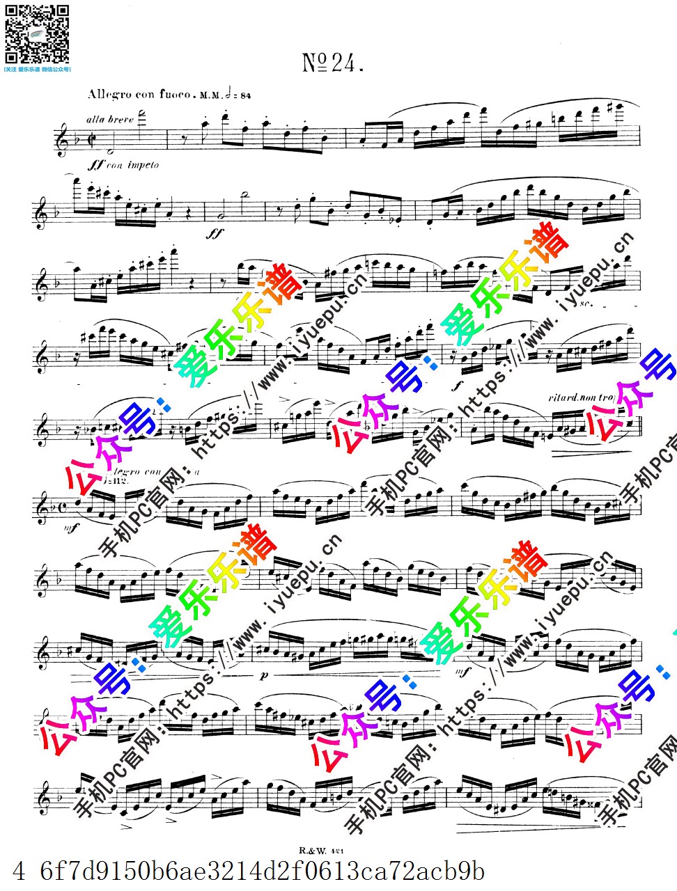 Andersen Joachim安德森 24 Etudes for Flute Op.15 No.24 24首长笛练习曲 长笛谱 乐谱曲谱总谱分谱伴奏音乐在线预览试听下载