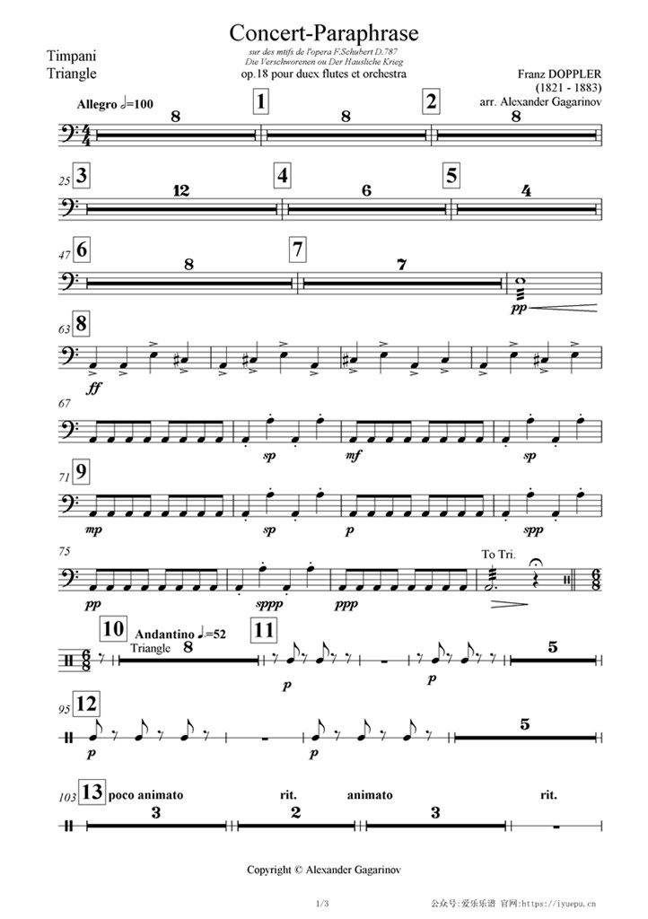 多普勒 Concert paraphrase OP18 交响乐管弦乐团队谱 定音鼓三角铁分谱 乐谱曲谱总谱分谱伴奏音乐在线预览试听下载