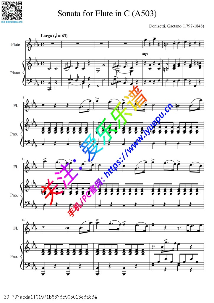 Donizetti 多尼采蒂C小调长笛奏鸣曲 长笛谱与钢琴伴奏谱V2 乐谱曲谱总谱分谱伴奏音乐在线预览试听下载