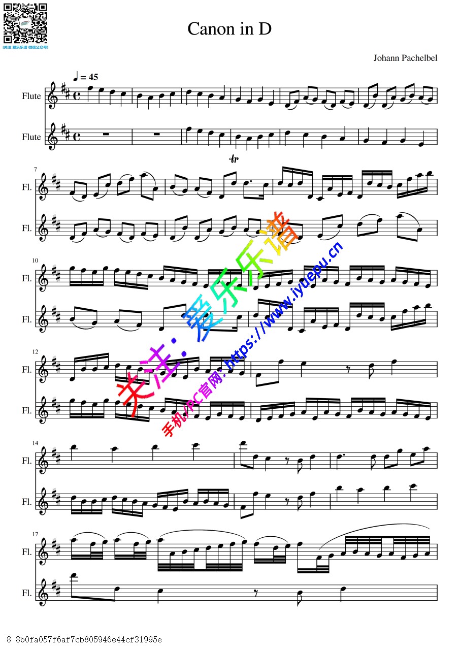 Pachelbel D大调卡农 Canon In D 双长笛二重奏-总谱与分谱 乐谱曲谱总谱分谱伴奏音乐在线预览试听下载