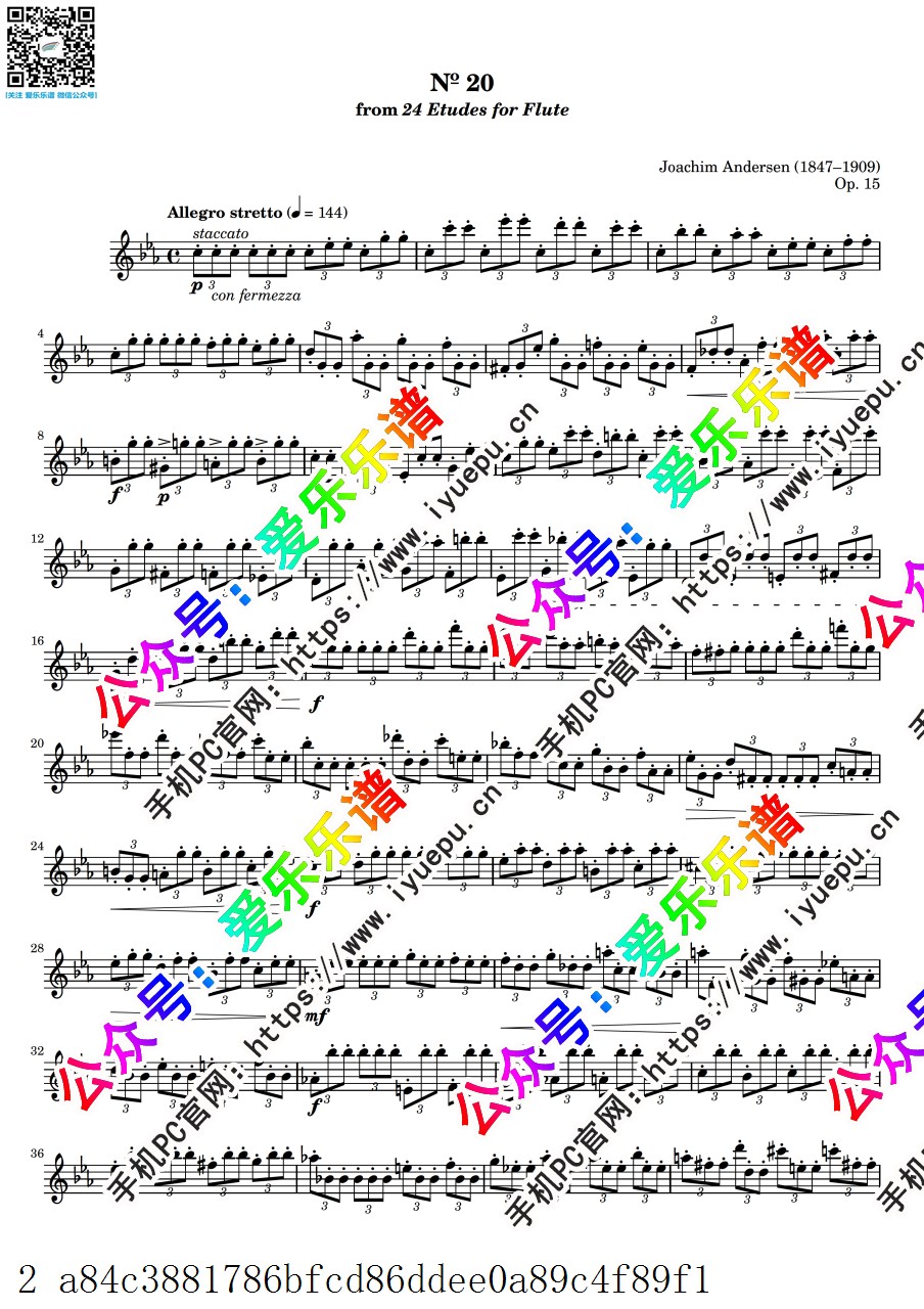 Andersen Joachim安德森 24 Etudes for Flute Op.15 No.20 24首长笛练习曲 长笛谱 乐谱曲谱总谱分谱伴奏音乐在线预览试听下载
