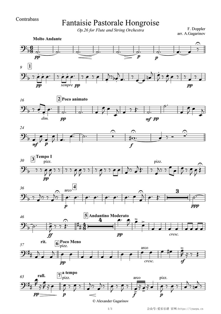 多普勒 匈牙利田园幻想曲Op26 长笛+交响乐管弦乐 低音提琴分谱 乐谱曲谱总谱分谱伴奏音乐在线预览试听下载