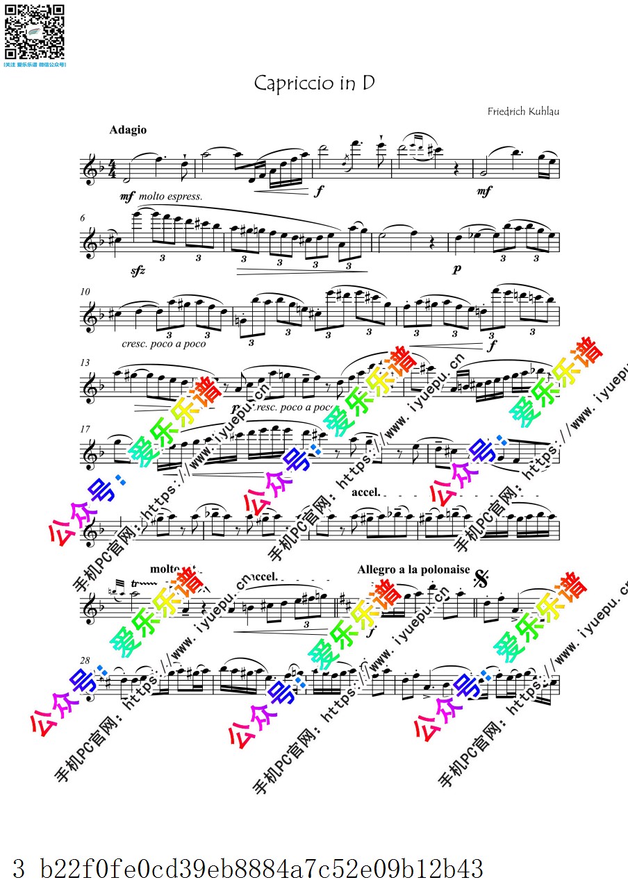库劳 d小调 随想曲 Kuhlau Capriccio for Solo Flute 长笛谱 乐谱曲谱总谱分谱伴奏音乐在线预览试听下载