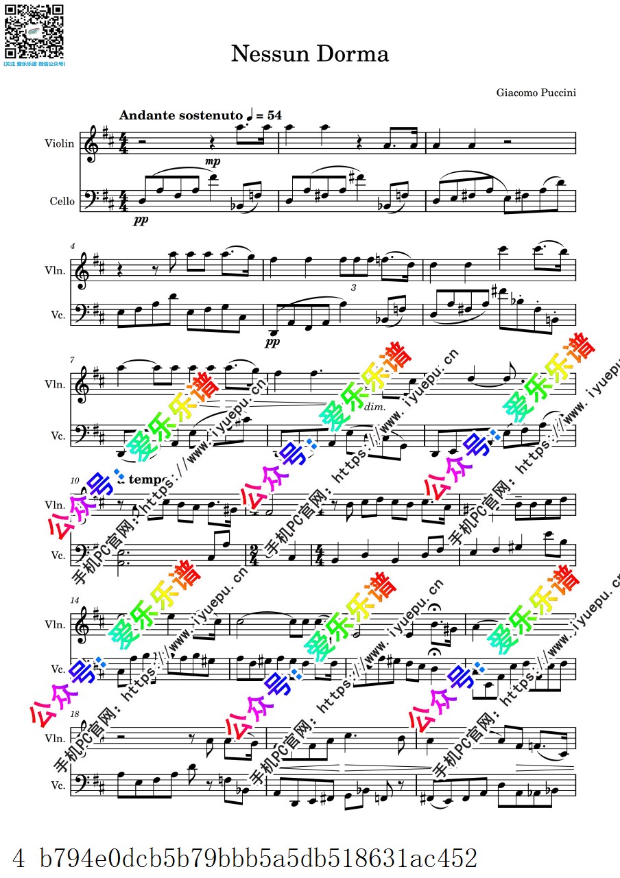普契尼 今夜无人入睡 nessun dorma 小提琴大提琴二重奏 D 总谱分谱 乐谱曲谱总谱分谱伴奏音乐在线预览试听下载