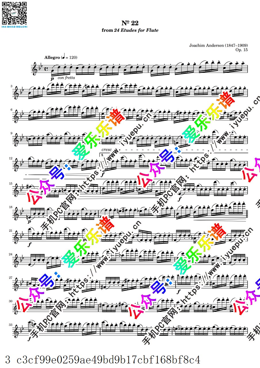 Andersen Joachim安德森 24 Etudes for Flute Op.15 No.22 24首长笛练习曲 长笛谱 乐谱曲谱总谱分谱伴奏音乐在线预览试听下载