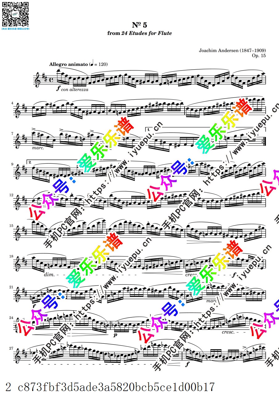 Andersen Joachim安德森 24 Etudes for Flute Op.15 No.5 24首长笛练习曲 长笛谱 乐谱曲谱总谱分谱伴奏音乐在线预览试听下载