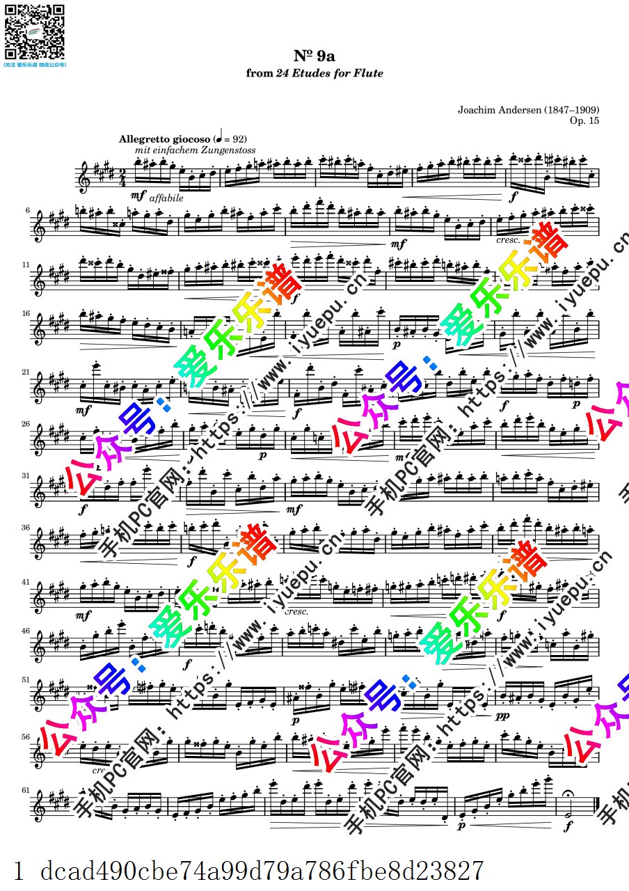 Andersen Joachim安德森 24 Etudes for Flute Op.15 No.9a 24首长笛练习曲 长笛谱 乐谱曲谱总谱分谱伴奏音乐在线预览试听下载