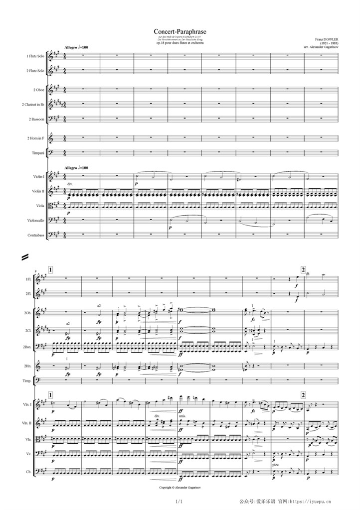 Doppler多普勒 Concert paraphraseOp18 交响乐管弦乐团队谱 总谱 乐谱曲谱总谱分谱伴奏音乐在线预览试听下载