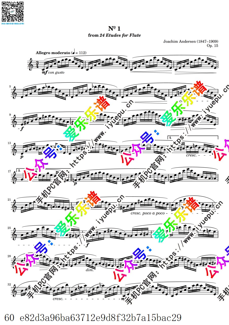 Andersen Joachim安德森 24 Etudes for Flute Op.15 24首长笛练习曲 长笛谱 高清 乐谱曲谱总谱分谱伴奏音乐在线预览试听下载