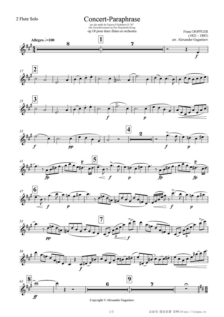 Flute Solo2多普勒 Concert paraphrase Op18交响乐管弦乐团队谱 长笛2分谱 乐谱曲谱总谱分谱伴奏音乐在线预览试听下载