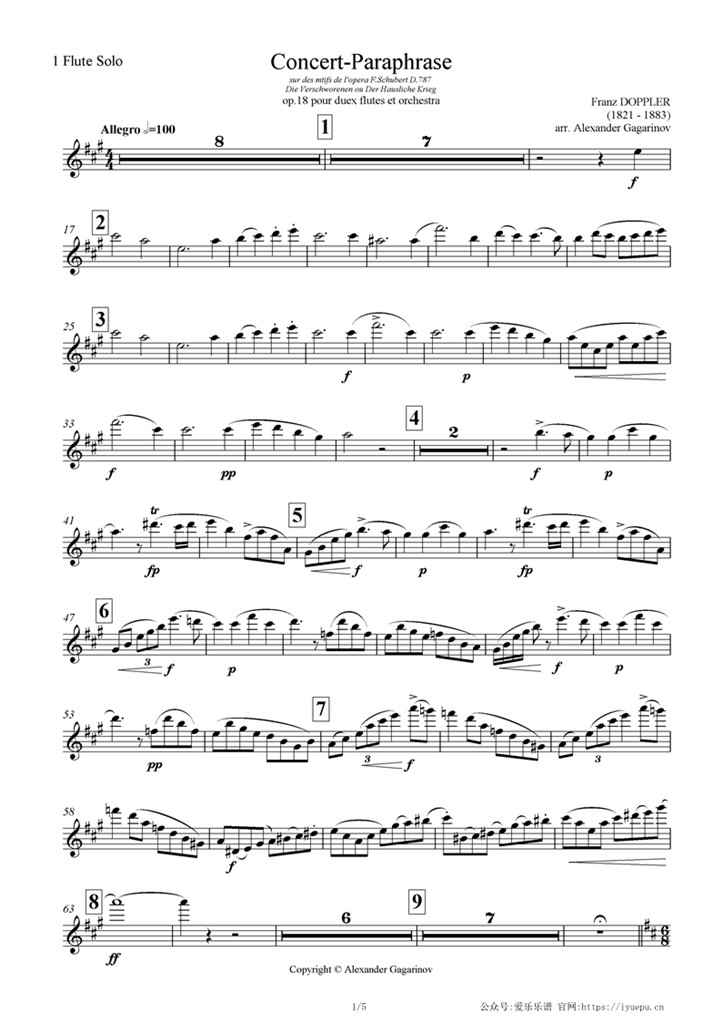 Flute Solo1多普勒 Concert paraphraseOp18 交响乐管弦乐团队谱 长笛1分谱 乐谱曲谱总谱分谱伴奏音乐在线预览试听下载