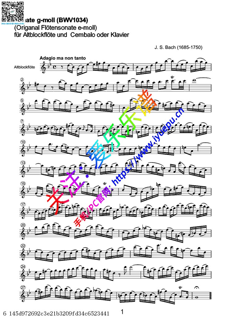 巴赫E小调长笛奏鸣曲 BWV1034 长笛谱V2 乐谱曲谱总谱分谱伴奏音乐在线预览试听下载