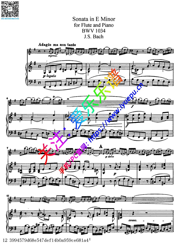 巴赫E小调长笛奏鸣曲 BWV1034 长笛钢伴谱全V1 乐谱曲谱总谱分谱伴奏音乐在线预览试听下载