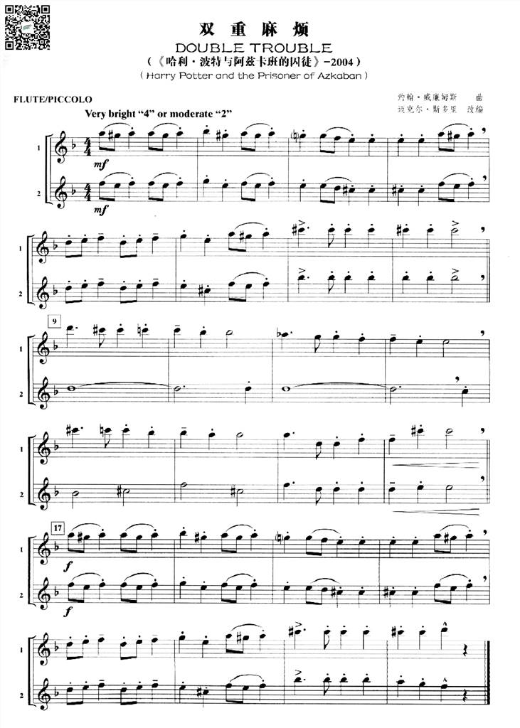双重麻烦 长笛二重奏谱 乐谱曲谱总谱分谱伴奏音乐在线预览试听下载