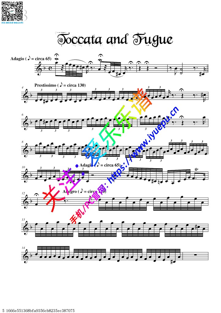 Toccota-小提琴独奏谱 David Garrett 戴维·嘉雷特 大卫·盖瑞 大卫·加勒特 乐谱曲谱总谱分谱伴奏音乐在线预览试听下载