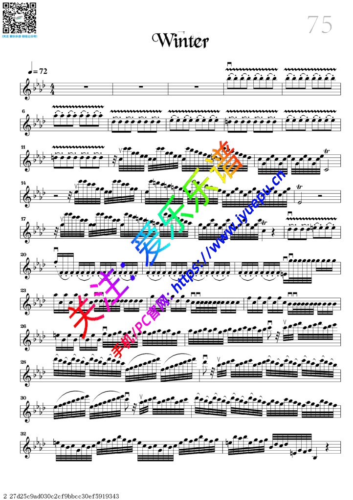 Winter-小提琴独奏谱 David Garrett 戴维·嘉雷特 大卫·盖瑞 大卫·加勒特 乐谱曲谱总谱分谱伴奏音乐在线预览试听下载