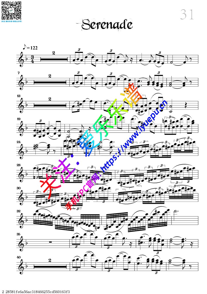 Serenade-小提琴独奏谱 David Garrett 戴维·嘉雷特 大卫·盖瑞 大卫·加勒特 乐谱曲谱总谱分谱伴奏音乐在线预览试听下载
