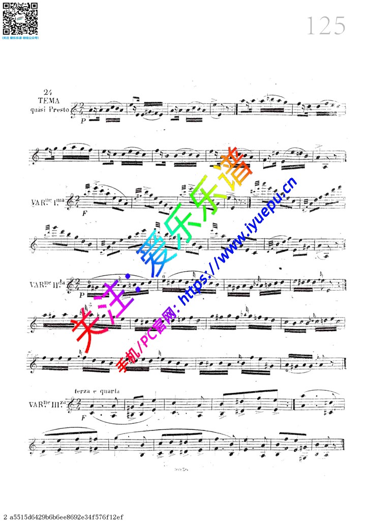 Caprice No.24-小提琴独奏谱 David Garrett 戴维·嘉雷特 大卫·盖瑞 大卫·加勒特 乐谱曲谱总谱分谱伴奏音乐在线预览试听下载