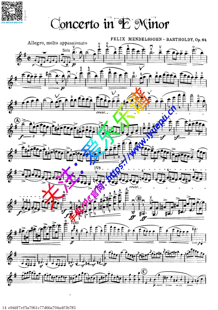 Concerto in E Minor-小提琴独奏谱 David Garrett 戴维·嘉雷特 大卫·盖瑞 大卫·加勒特 乐谱曲谱总谱分谱伴奏音乐在线预览试听下载